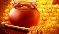 Μέλι, η τροφή των θεών
