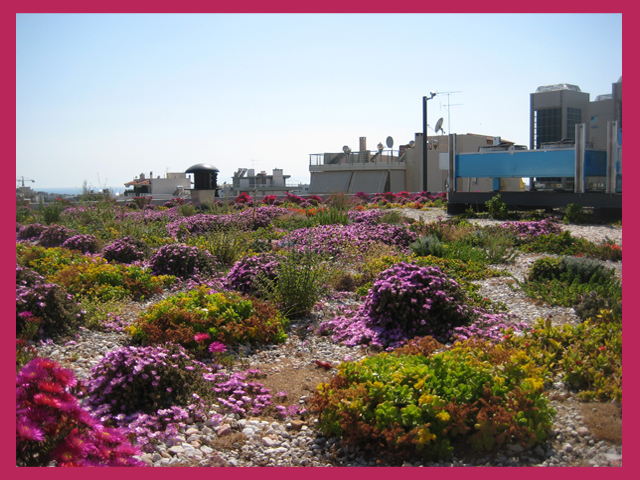 πράσινη στέγη